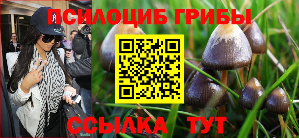 Сосновый Бор  Галлюциногенные грибы Psilocybine cubensis  Вход с VPN 