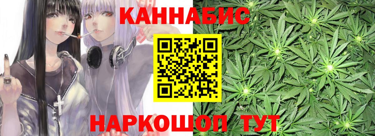 Конопля план Сосновый Бор